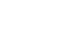 Bradford White